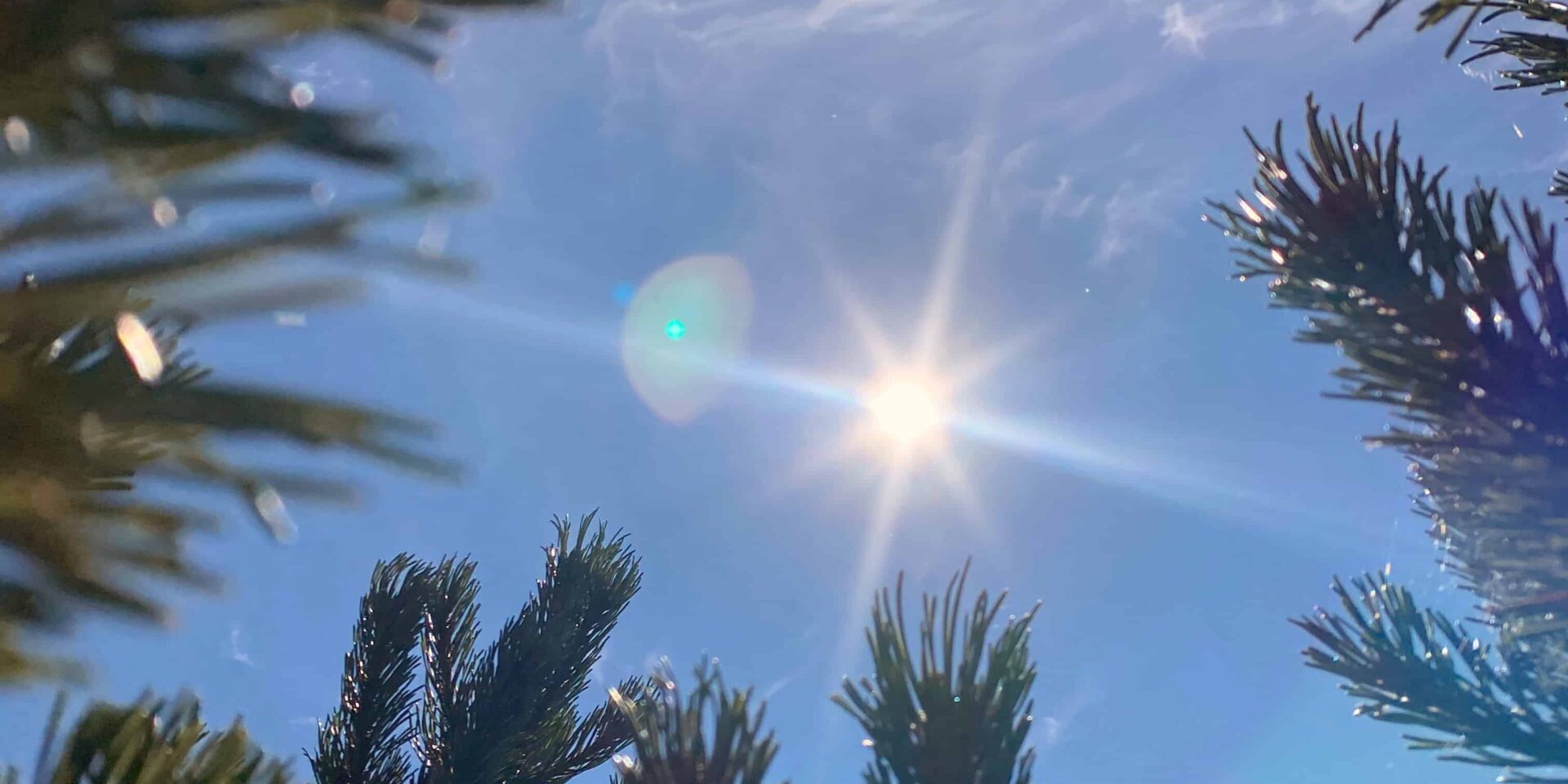 5 Gründe, die EXPERIENCE TIROL bei Schönwetter in Tirol zu besuchen