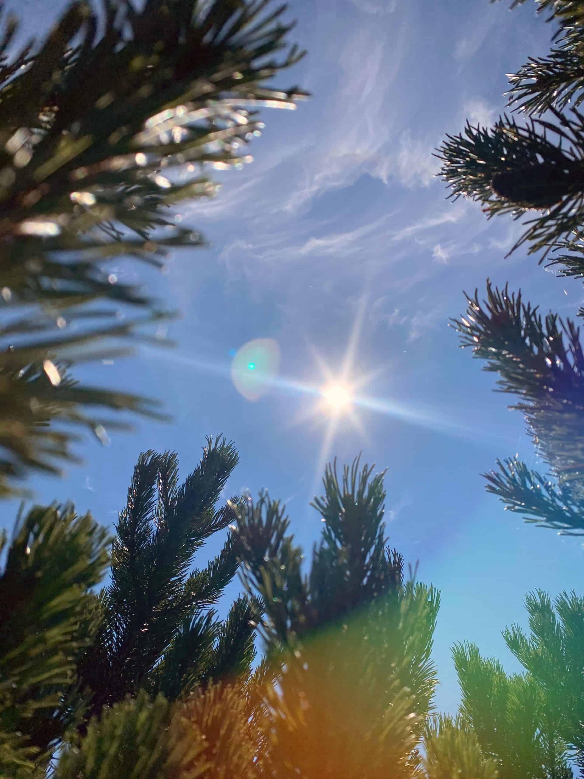 5 Gründe, die EXPERIENCE TIROL bei Schönwetter in Tirol zu besuchen