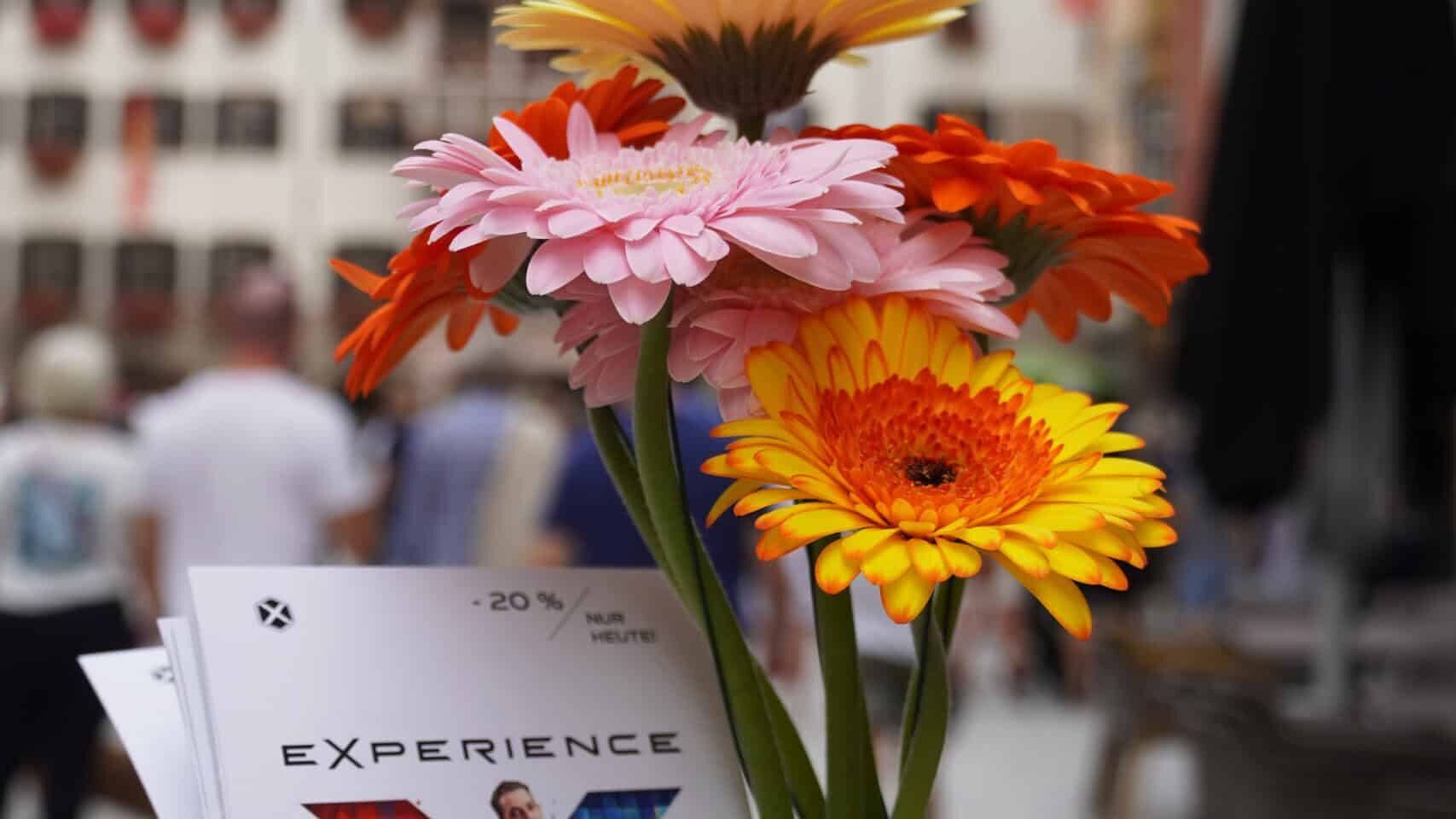 Voller Erfolg: 23.387 Besucher im ersten Jahr